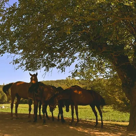 Alojamento de Acomodação e Pequeno-almoço Domaine De Belcayre